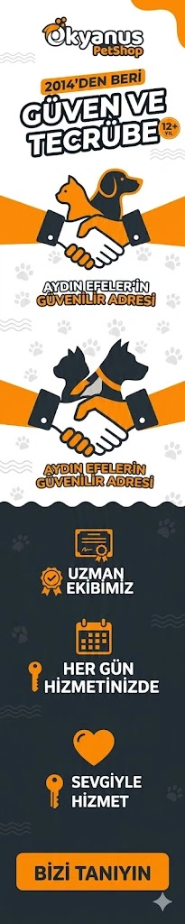 10 Yıllık Tecrübe